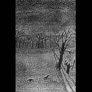 Saatkrähe : L'Arbre Mort Saatkrähe : L'Arbre Mort